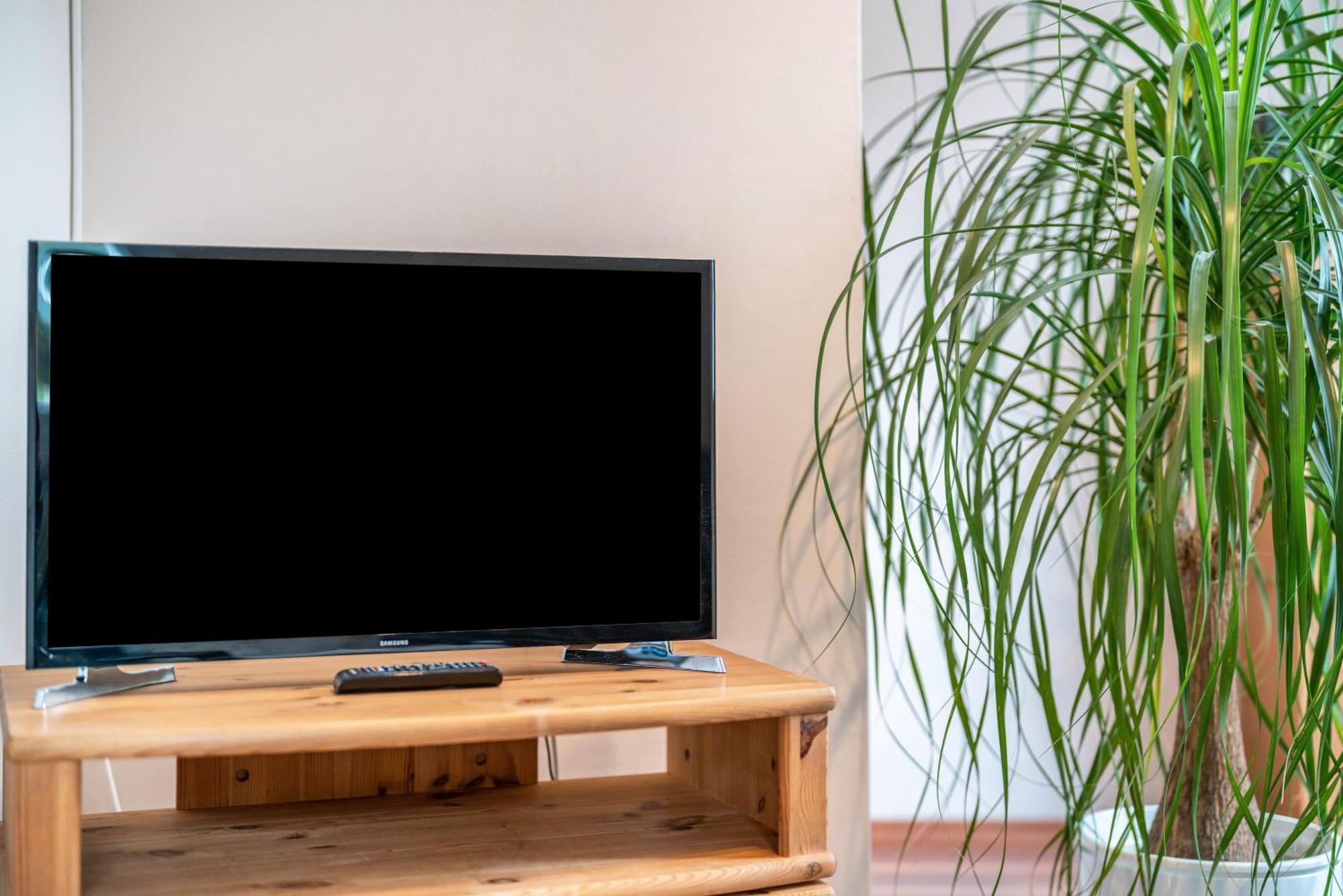 Ferienwohnung Burgblick 하우사크 외부 사진